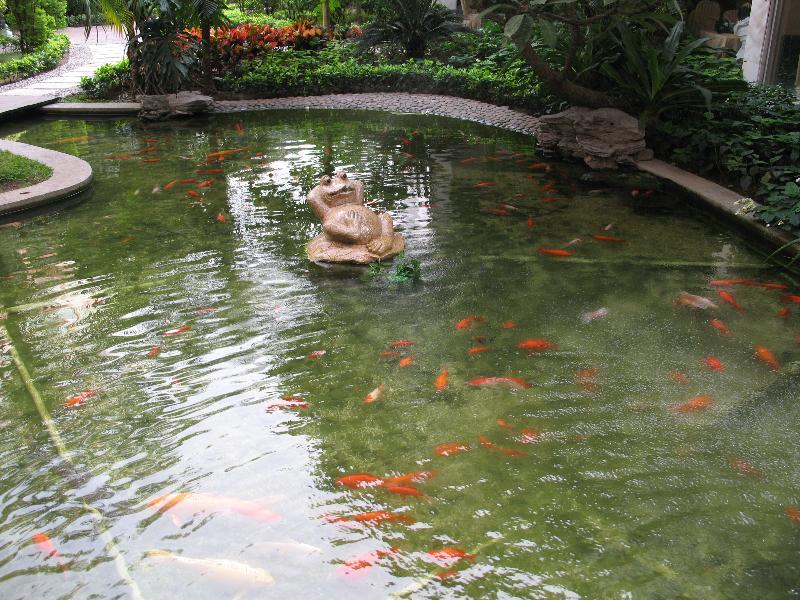 Hotel Jiang Yue Canton Esterno foto